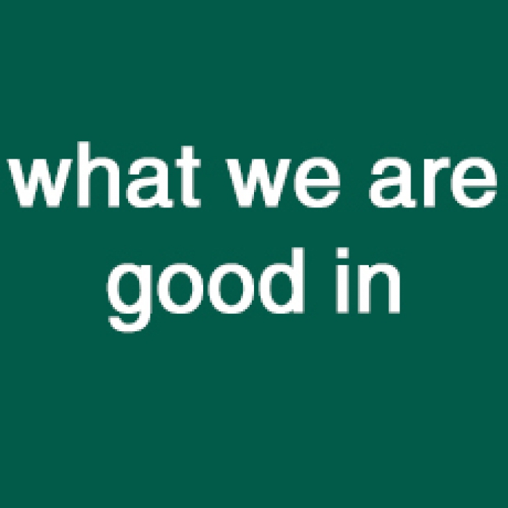 What we are good in